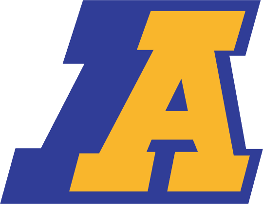 Akron Zips 1986-2001 Primary Logo iron on transfers for T-shirts